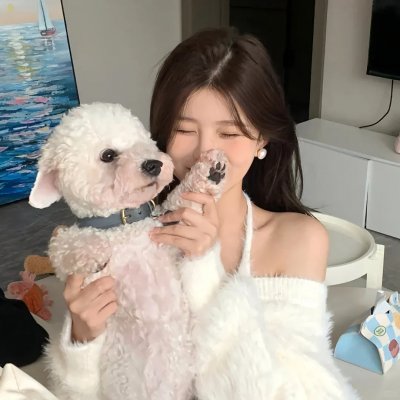 少帅别慌，夫人真有金手指