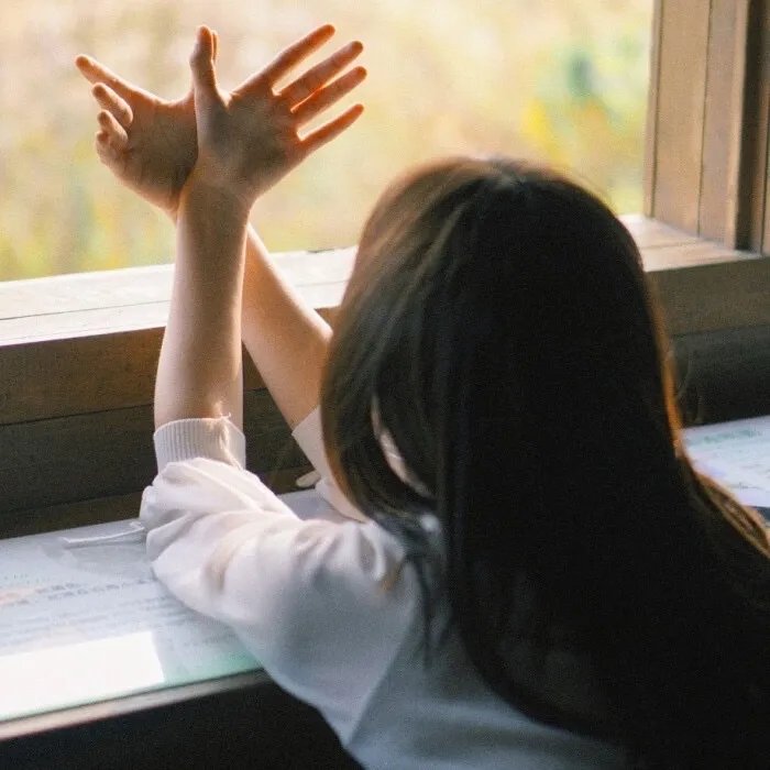 摩登原始人第六季